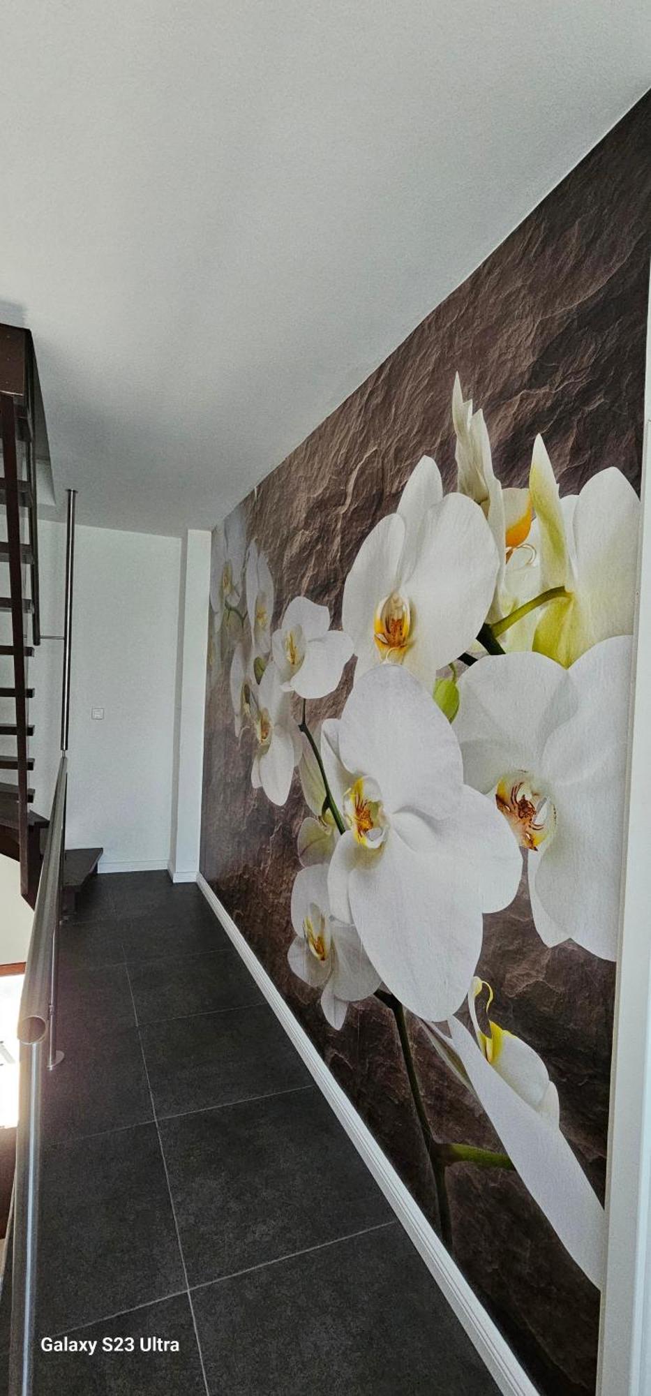 Gaestehaus Orchidee Hoya Екстер'єр фото